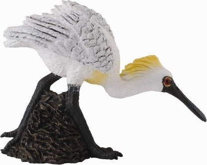 Изображение Figurka Collecta PTAK WARZCHA MAA IDCA