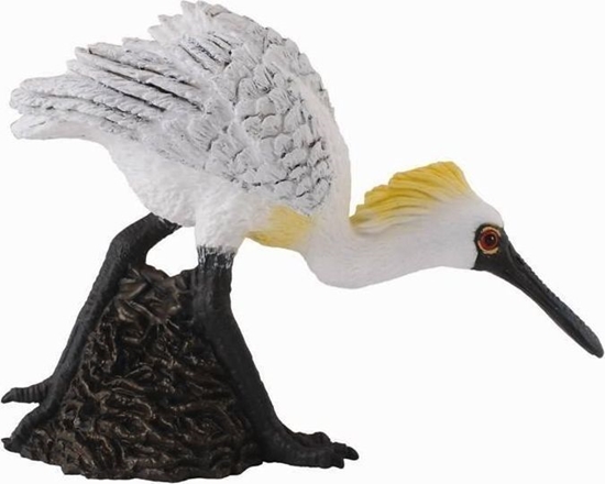 Picture of Figurka Collecta PTAK WARZCHA MAA IDCA