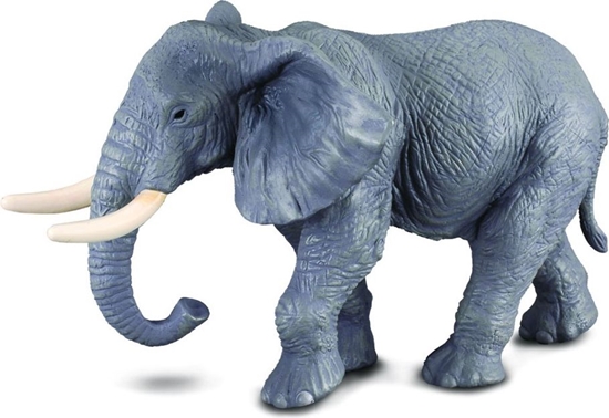 Picture of Figurka Collecta So Afrykaski (004-88025)