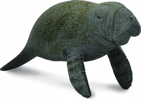 Picture of Figurka Collecta SO MORSKI MODY PYWAJCY