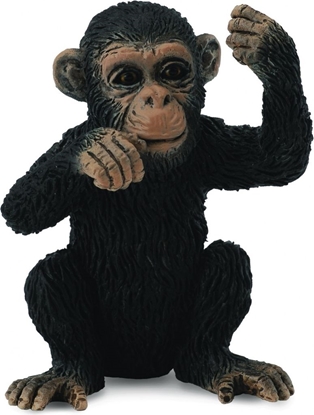 Изображение Figurka Collecta Szympans młody myślący (004-88495)