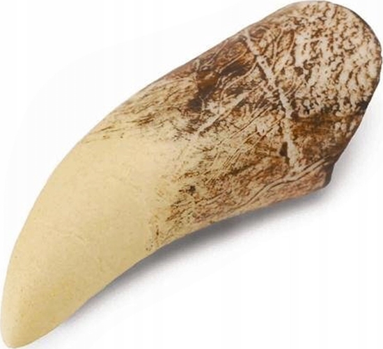 Picture of Figurka Collecta ZB TYRANOZAURA W PUDEKU - CollectA - 89281