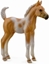 Attēls no Figurka Collecta rebi Pinto Foal Palomino (004-88669)
