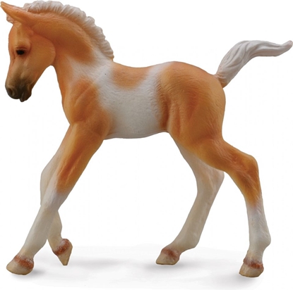 Picture of Figurka Collecta rebi Pinto Foal Walking Palomino (004-88668)