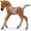 Picture of Figurka Collecta rebi Pinto Foal Walking Palomino (004-88668)
