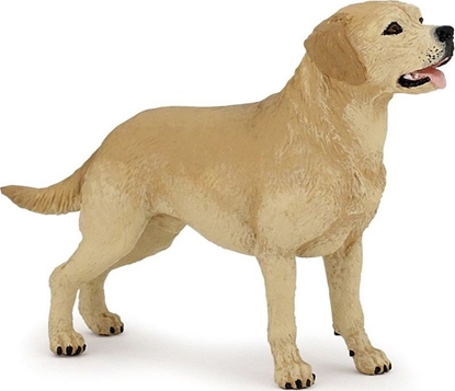 Изображение Figurka Papo Labrador