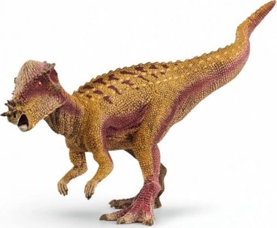 Picture of Figurka Schleich Figurka Pachycephalosaurus