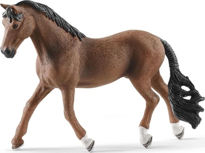 Изображение Figurka Schleich Waach Trakehner