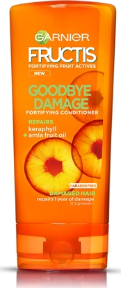 Attēls no Garnier Fructis Goodbye Damage 200 ml