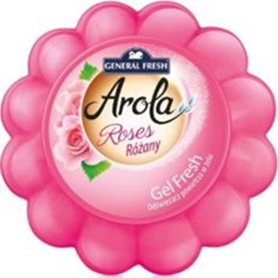 Picture of General Fresh GENERAL FRESH arola ROSES 150g - odwieacz powietrza dynia w elu