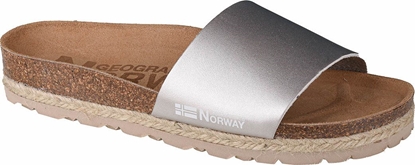 Picture of Geographical Norway Geographical Norway Sandalias Baja Verano GNW20406-26 Srebrne 37
