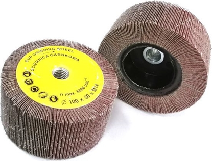 Attēls no Glob ciernica garnkowa 100x50mm z gwintem M14 z pótna ciernego 60 (GLOB-SG-10050M14-P060)