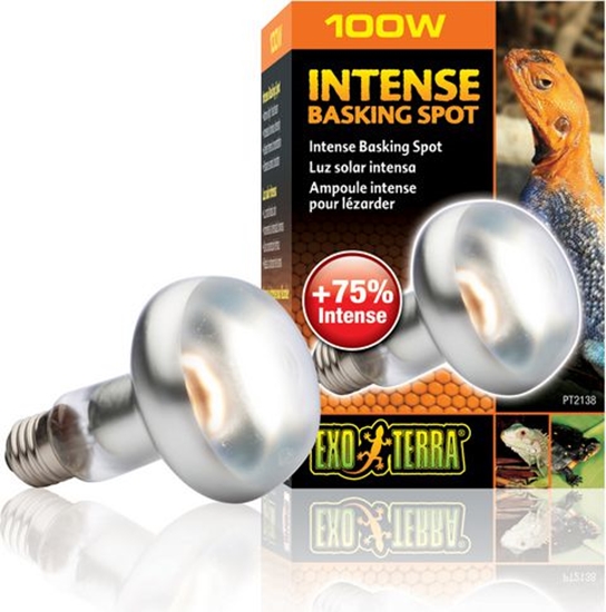 Изображение Hagen EXOTERRA ARÓWKA INTENSE SPOT 100W