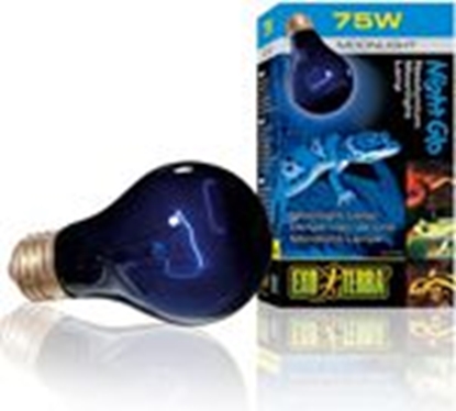 Изображение Hagen EXOTERRA ARÓWKA NIGHT HEAT 75W