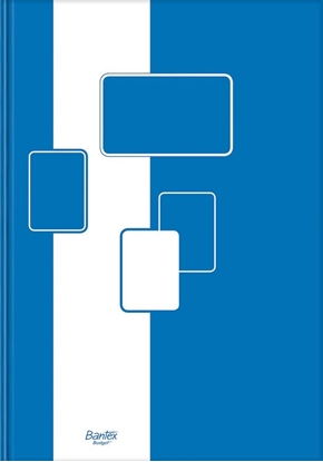 Picture of Hamelin Brulion A5 96 kartek kratka Budget