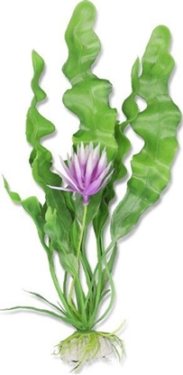 Picture of Happet HAPPET ROLINA 20cm 2b54