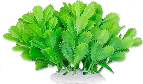 Picture of Happet HAPPET ROLINA FOLIA 10CM / 1F10