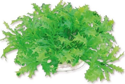 Attēls no Happet HAPPET ROLINA FOLIA 10CM / 1F22