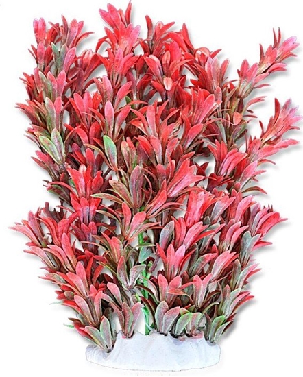 Picture of Happet HAPPET ROLINA FOLIA 20CM / 2F15