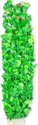 Picture of Happet HAPPET ROLINA FOLIA 65CM / 6F38