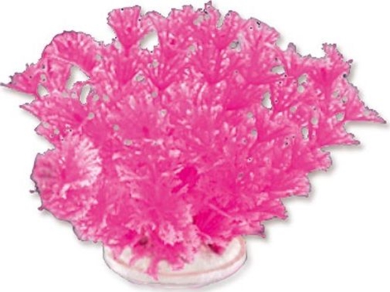 Picture of Happet Rolina folia 10cm 1f16 Happet