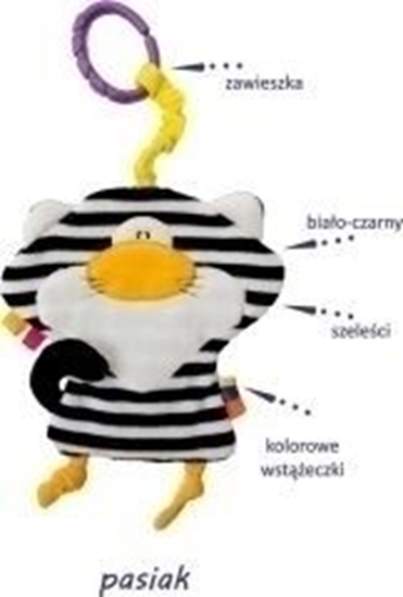 Picture of Hencz Grzechotka szeleszczca kotek