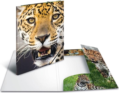 Picture of Herma Teczka A4 (7137)