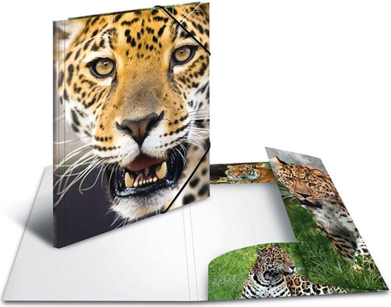 Picture of Herma Teczka A4 (7137)