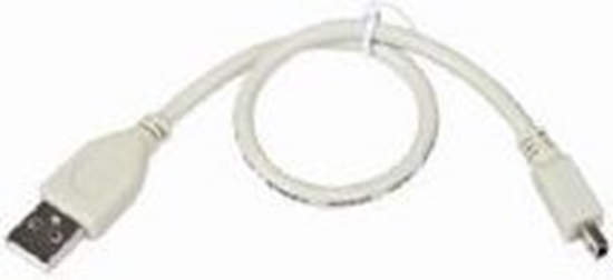 Изображение Kabel USB Gembird USB-A - 0.3 m Czarny (CCPUSB2AM5P1)