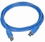 Picture of Kabel USB Gembird USB-A - USB-B 3 m Niebieski (CCPUSB3AMBM10)