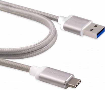 Attēls no Kabel USB Innergie USB-A - USB-C 1 m Srebrny (3082186500)
