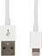 Изображение Kabel USB LMP USB-A - Lightning 1 m Biały (LMP-LIGHUSB-1M)