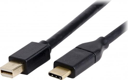 Изображение Kabel USB LMP USB-C - mini DisplayPort 1.8 m Czarny (LMP-USBC-M-DPC-B)