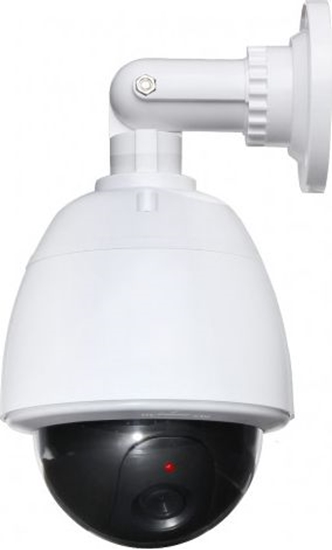 Picture of KAMERA ATRAPA ASD-127/LED