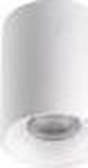 Изображение Kanlux Oprawa sufitowa punktowa natynkowa biaa RITI GU10 W-W 27569