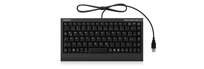 Изображение KeySonic ACK-595C+ keyboard USB QWERTY US English Black