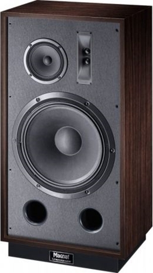 Picture of Kolumna Magnat Transpuls 1500 250 W