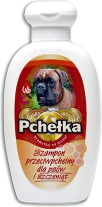 Picture of LAB PCHEKA SZAMPON PRZECIW PCHELNY DLA PSA 200ml