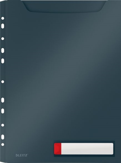 Picture of Leitz Koszulka o zwikszonej pojemnoci szara