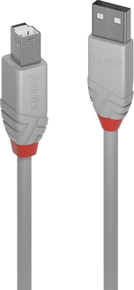 Изображение Lindy 3m USB 2.0 Type A to B Cable, Anthra Line, grey
