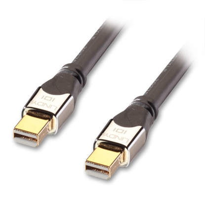 Attēls no Lindy 41542 DisplayPort cable 2 m Mini DisplayPort Black