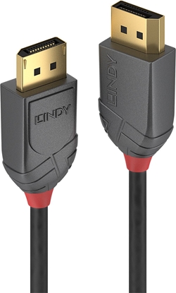 Attēls no Lindy 5m DisplayPort 1.2 Cable, Anthra Line