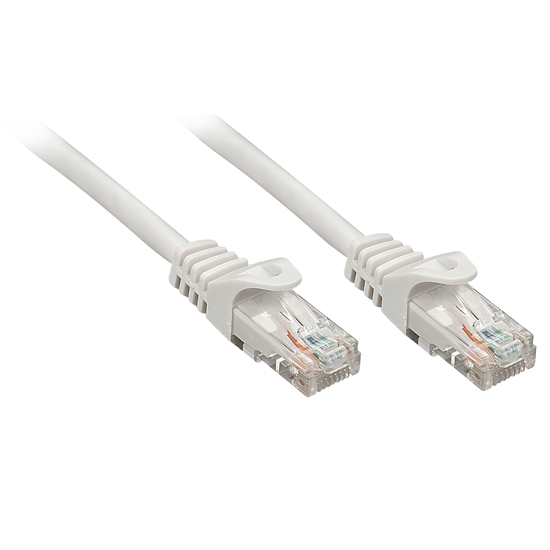 Picture of Lindy Rj45/Rj45 Cat6 0.3m networking cable Grey U/UTP (UTP)