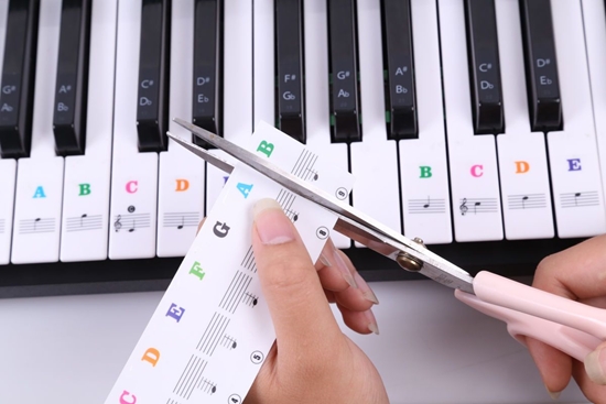 Picture of Mozos Mozos PK-STRS nalepki na klawisze nuty kolorowe