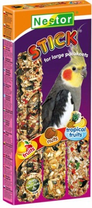 Picture of Nestor KOLBA 3w1 PAPUGA REDNIA