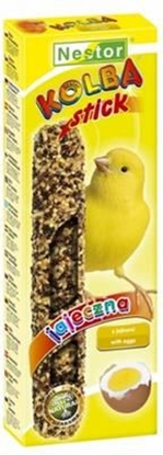 Picture of Nestor KOLBA KANAREK JAJECZNA