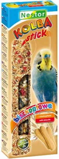 Picture of Nestor KOLBA PAPUGA MAA BISZKOPT