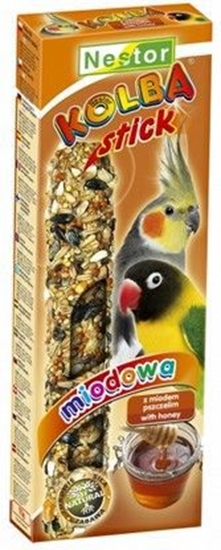 Picture of Nestor KOLBA PAPUGA REDNIA MIODOWA