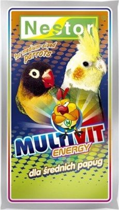 Picture of Nestor ODZYWKA PAPUGA SREDNIA MULTIVIT