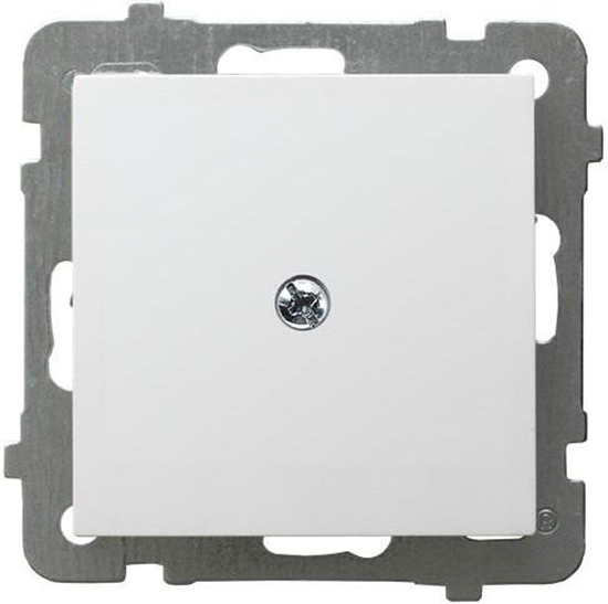 Picture of Ospel Zalepka AS biay (Z-1G/m/00)